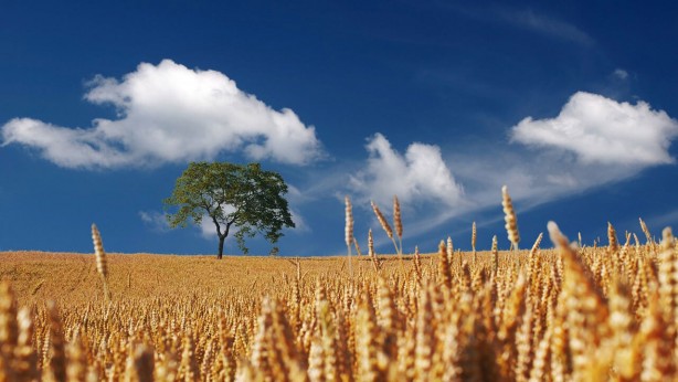 Foto - BAE'nin hedefinde Konya var! Ne yapıp edip onu almak istiyorlar