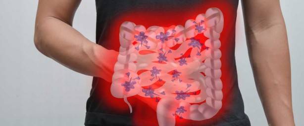 Bağırsak enfeksiyonu ölüme neden oldu! Uzman isim tek tek sıraladı: Bu besinleri sakın tüketmeyin