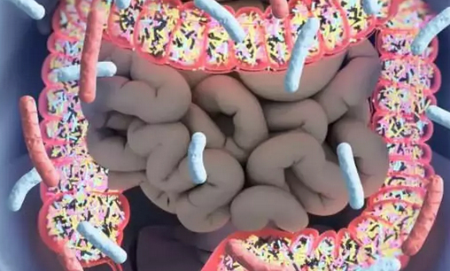 Foto - Bağırsak Kurduna doğal çözümler! Bağırsak temizleme nasıl yapılır? Merak ediyorsanız İşte o yöntem, artık olmayacak