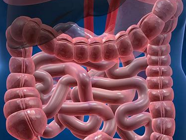 Foto - Bağırsak Kurduna doğal çözümler! Bağırsak temizleme nasıl yapılır? Merak ediyorsanız İşte o yöntem, artık olmayacak