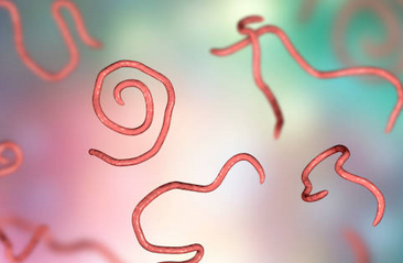 Foto - Bağırsak Kurduna doğal çözümler! Bağırsak temizleme nasıl yapılır? Merak ediyorsanız İşte o yöntem, artık olmayacak