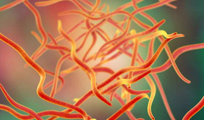 Foto - Bağırsak Kurduna doğal çözümler! Bağırsak temizleme nasıl yapılır? Merak ediyorsanız İşte o yöntem, artık olmayacak