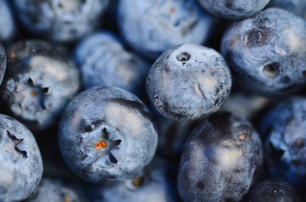 Foto - Bağırsak rahatsızlıkları için bu doğal bitkileri kullanın
