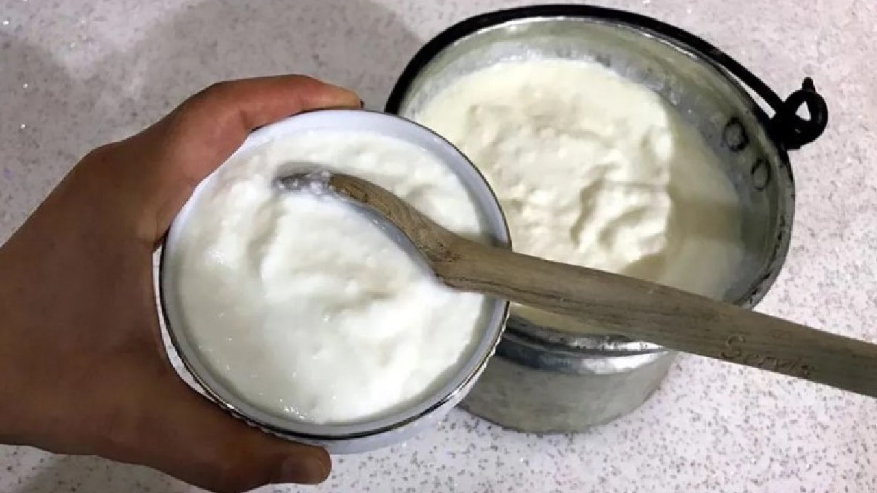 Foto - Bağırsak sağlığından cilt bakımına: İşte yoğurdun bilinmeyen 5 faydası!