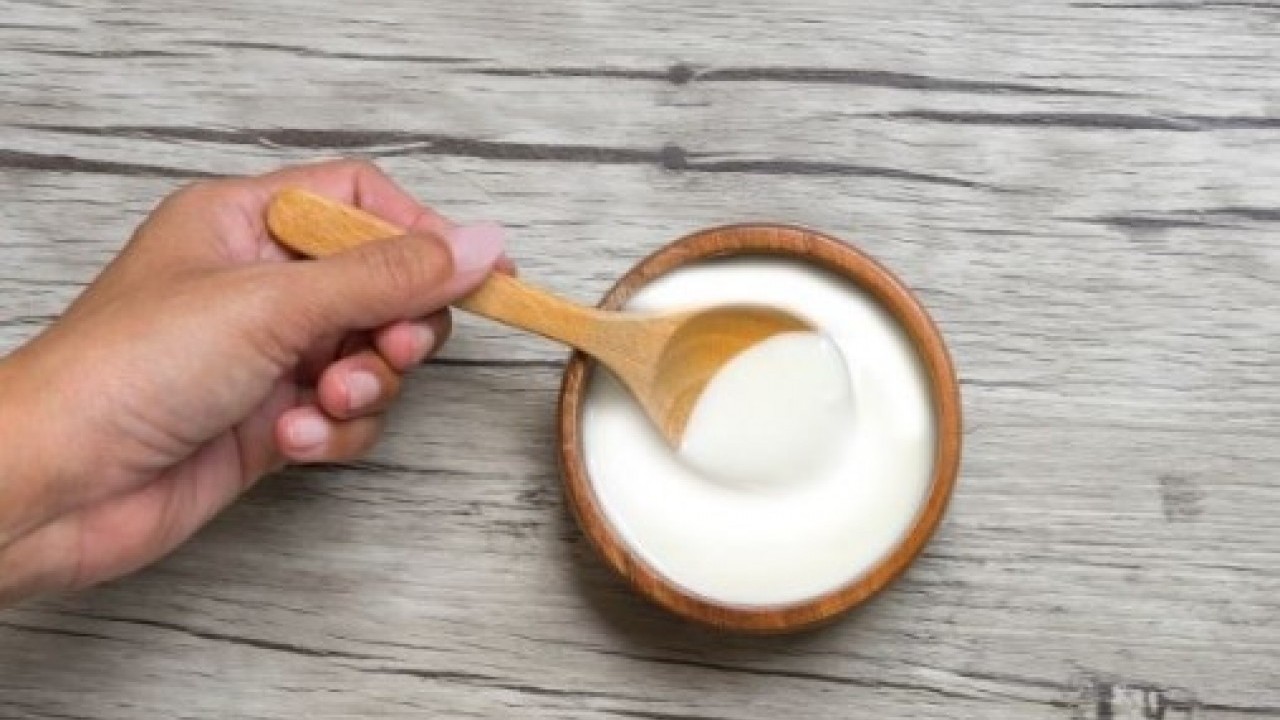 Foto - Bağırsak sağlığından cilt bakımına: İşte yoğurdun bilinmeyen 5 faydası!