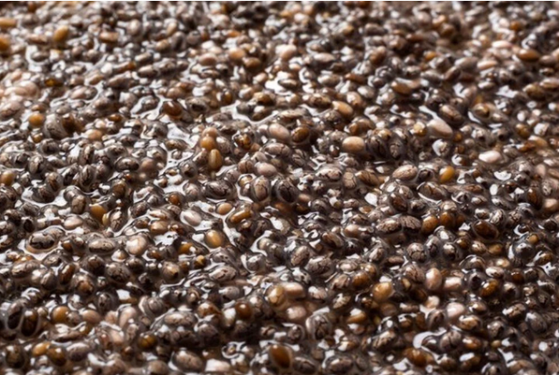 Foto - Bağırsak tembelliğinin en büyük sebebi! Omega-3 deposu ama...