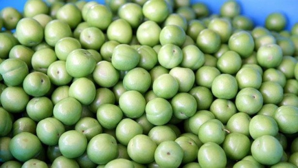 Foto - Bağırsakları fokur fokur çalıştırıyor! Bu tarifi içen kabızlık nedir bilmiyor