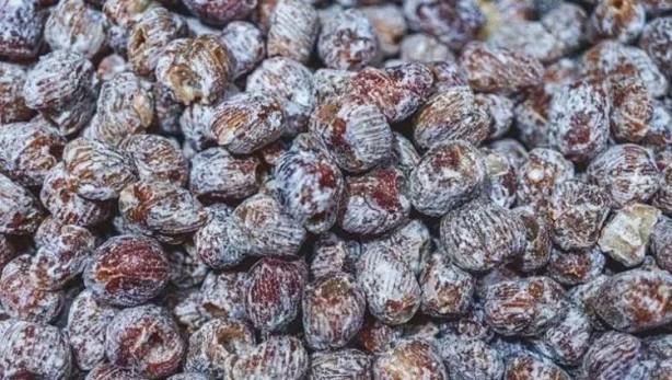 Foto - Bağırsakları fokur fokur çalıştırıyor! Bu tarifi içen kabızlık nedir bilmiyor