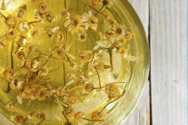 Foto - Bağırsakları temizlemeye yardımcı 5 bitki: Bir porsiyonu iltihabı kurutuyor