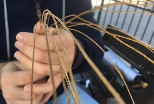 Foto - Bağırsaktan yapıyor! Avrupa'dan talep yağıyor