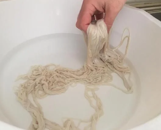 Foto - Bağırsaktan yapıyor! Avrupa'dan talep yağıyor