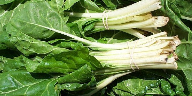 Foto - Bağışıklığı güçlendiren gıdalar