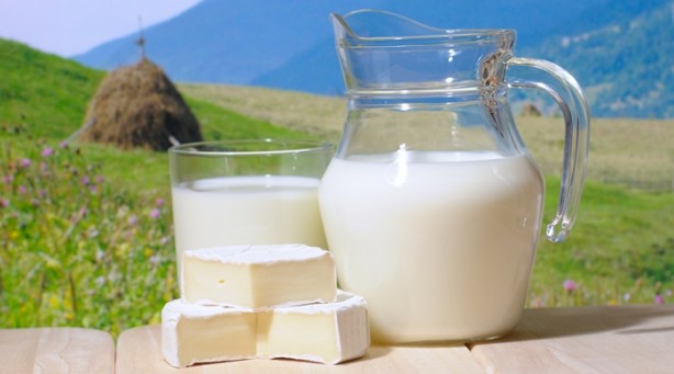 Foto - Bağışıklık için mutlaka 2 bardak süt için!