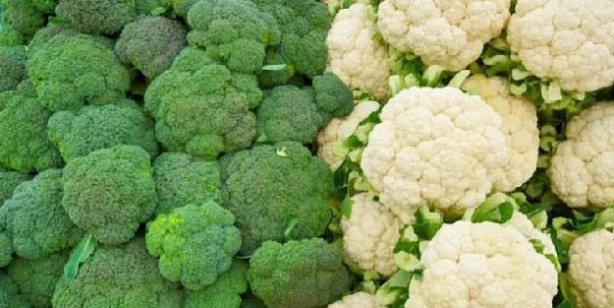 Foto - Bağışıklık için süper besinler