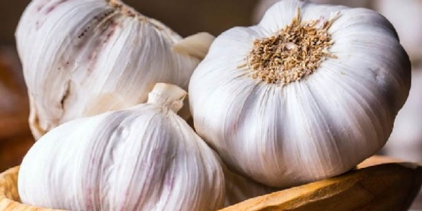 Foto - Bağışıklık için süper besinler