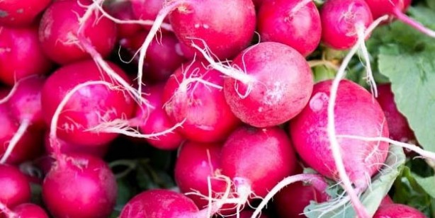 Foto - Bağışıklık için süper besinler