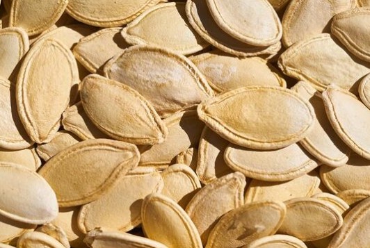 Foto - Bağışıklık sistemini güçlendiren besinler