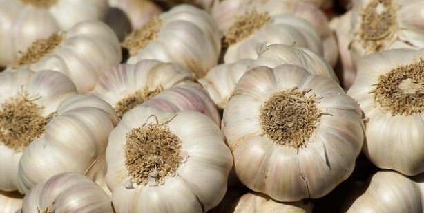 Foto - Bağışıklık sistemini güçlendiren tarif! Bağışıklık sistemini ne güçlendirir? 