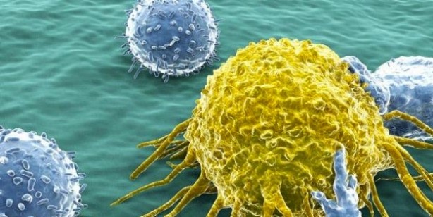 Foto - Bağışıklık sistemini güçlendiren tarif! Bağışıklık sistemini ne güçlendirir? 