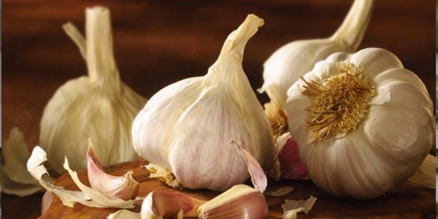 Foto - Bağışıklık sistemini güçlendiren tarif! Bağışıklık sistemini ne güçlendirir? 