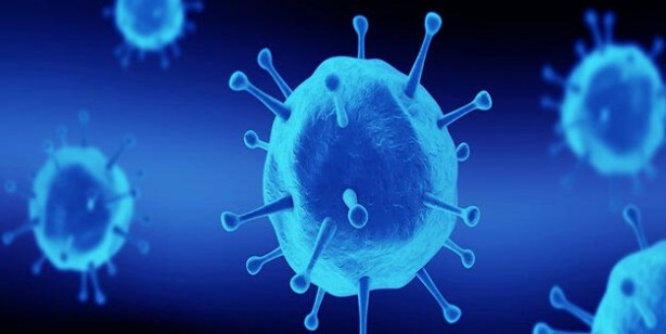 Foto - Bağışıklık sistemini güçlendiren tarif! Bağışıklık sistemini ne güçlendirir? 