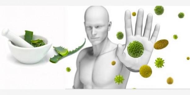 Foto - Bağışıklık sistemini güçlendiren tarif! Bağışıklık sistemini ne güçlendirir? 