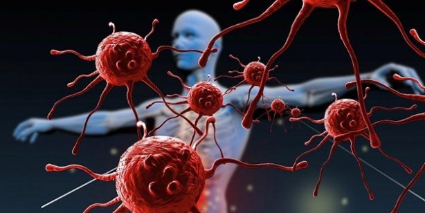 Foto - Bağışıklık sistemini güçlendiren tarif! Bağışıklık sistemini ne güçlendirir? 