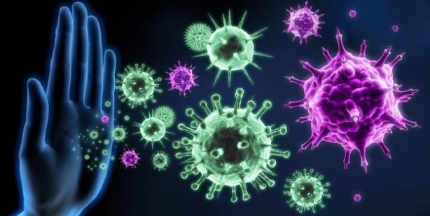 Foto - Bağışıklık sistemini güçlendiren tarif! Bağışıklık sistemini ne güçlendirir? 