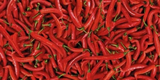 Foto - Bağışıklık sistemini güçlendiren tarif! Bağışıklık sistemini ne güçlendirir? 