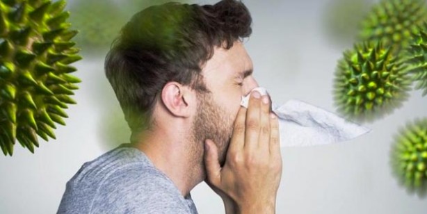 Foto - Bağışıklık sistemini güçlendiren tarif! Bağışıklık sistemini ne güçlendirir? 