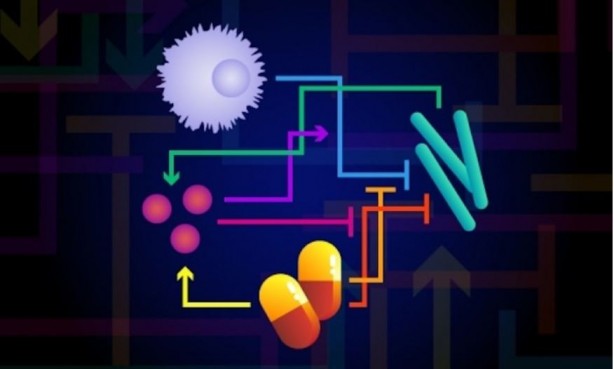 Foto - Bağışıklık sisteminini güçlü tutmak için neler yapmalıyız?