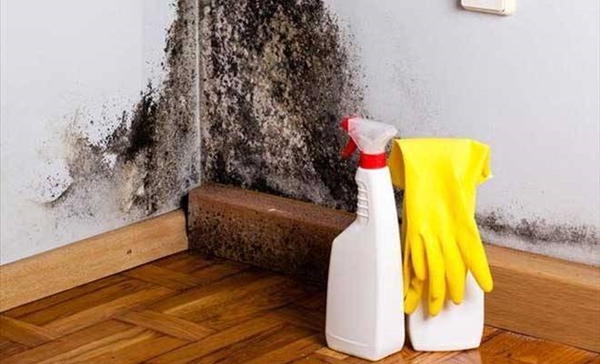 Foto - Bahar alerjiniz varsa...