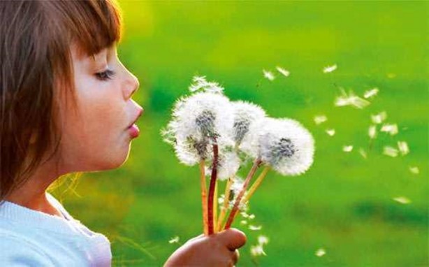 Foto - Bahar alerjisi olanlar dikkat!