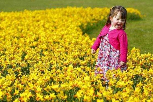 Foto - Bahar alerjisi olanlar dikkat!