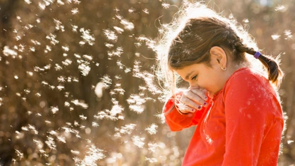 Foto - Bahar alerjisinden nasıl korunmalıyız?