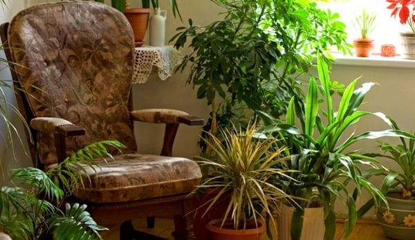 Foto - Bahar alerjisinden nasıl korunmalıyız?