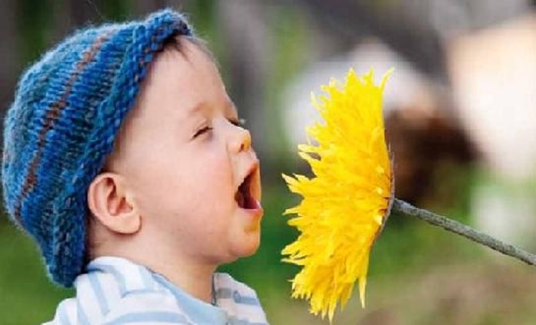 Foto - Bahar alerjisinden nasıl korunmalıyız?