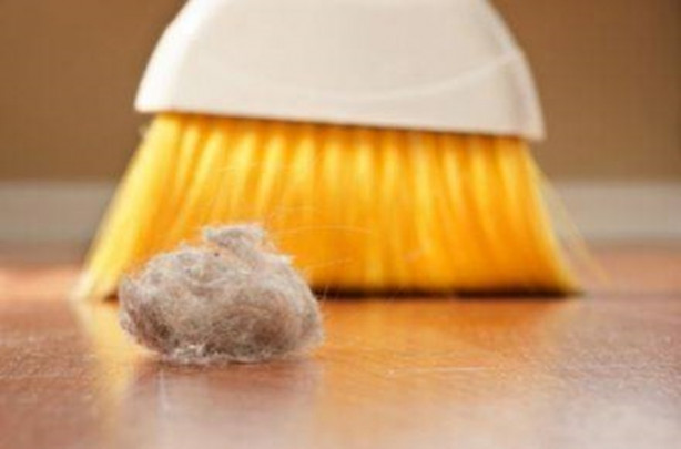 Foto - Bahar alerjisinden nasıl korunulur?