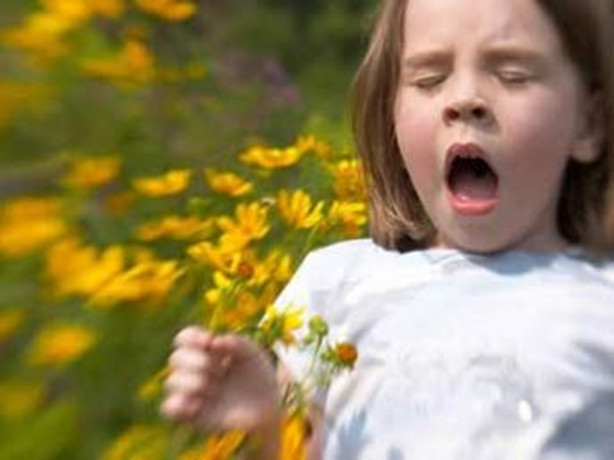 Foto - Bahar alerjisinden nasıl korunulur?