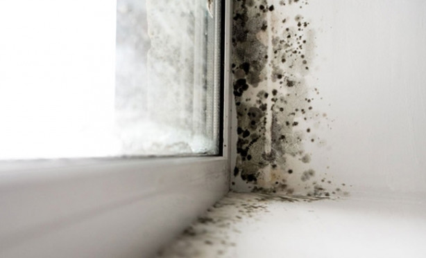 Foto - Bahar alerjisinden nasıl korunulur?