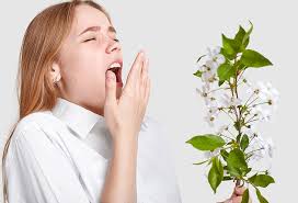 Foto - Bahar alerjisine aman dikkat edin! Bahar alerjisine iyi gelebilecek bu 6 besin birer deva: Duyan şok geçirdi