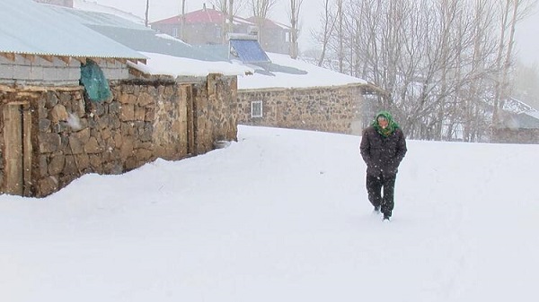 Foto - Bahar beklenirken kış bastırdı! Yaylaya çıkan hayvanların karla mücadelesi
