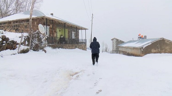 Foto - Bahar beklenirken kış bastırdı! Yaylaya çıkan hayvanların karla mücadelesi