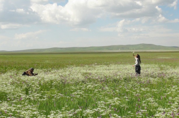 Foto - Bahar çiçekleriyle renklenen Sütey Yaylası ve Süphan Dağı hayranlık uyandırıyor
