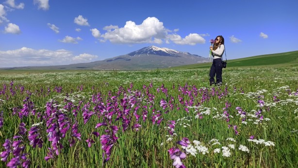 Foto - Bahar çiçekleriyle renklenen Sütey Yaylası ve Süphan Dağı hayranlık uyandırıyor