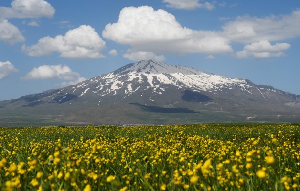Foto - Bahar çiçekleriyle renklenen Sütey Yaylası ve Süphan Dağı hayranlık uyandırıyor