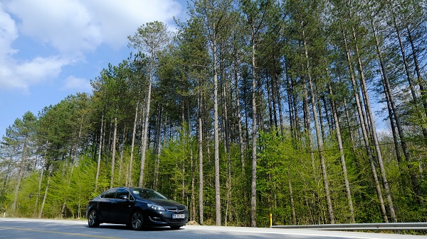 Foto - Bahar geldi doğa canlandı! Burası İstanbul’a birkaç saat uzaklıkta