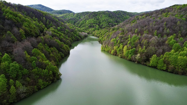 Foto - Bahar geldi doğa canlandı! İşte, tabloluk manzaralar
