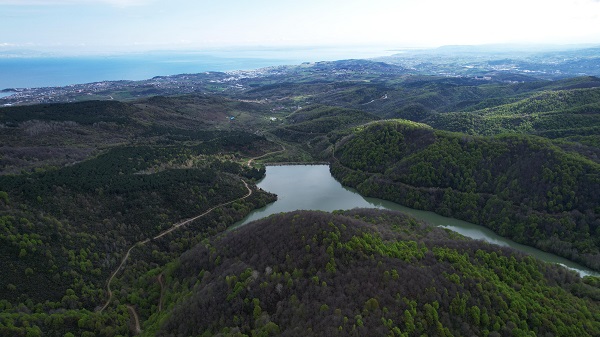 Foto - Bahar geldi doğa canlandı! İşte, tabloluk manzaralar