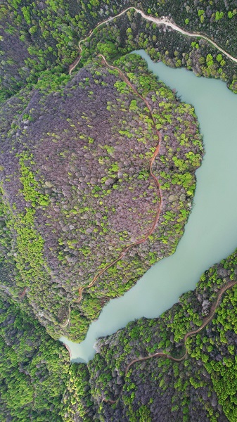 Foto - Bahar geldi doğa canlandı! İşte, tabloluk manzaralar